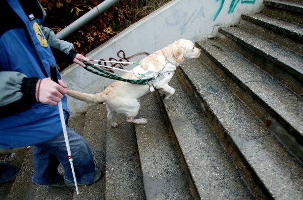 Silně nevidomému synovi ženy se podařilo z domku utéci.